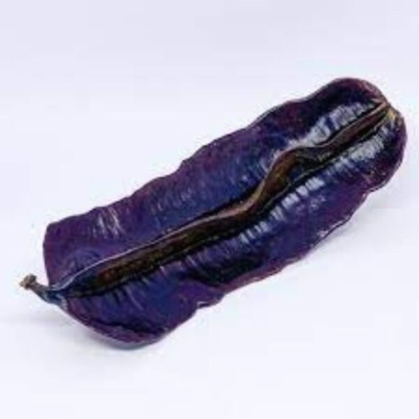 Fava de Aridan