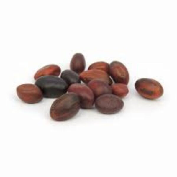 Fava de Ogum