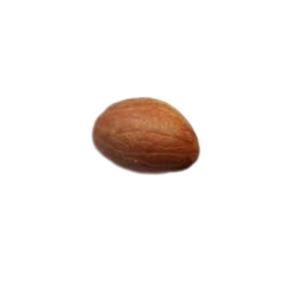 Orobo Africano